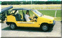 Rental Cars (Convertable)